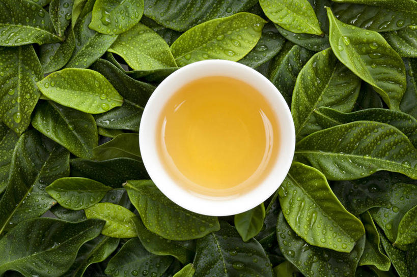 无人,横图,俯视,茶,静物,叶子,亚洲,圆形,材料,瓷器,水滴,茶道,茶叶,陶瓷制品,绿色,健康,安静,颜色,摄影,有机食品,生活方式,茶色,高雅,中国文化,热饮,茶杯,彩图,高角度拍摄,传统文化