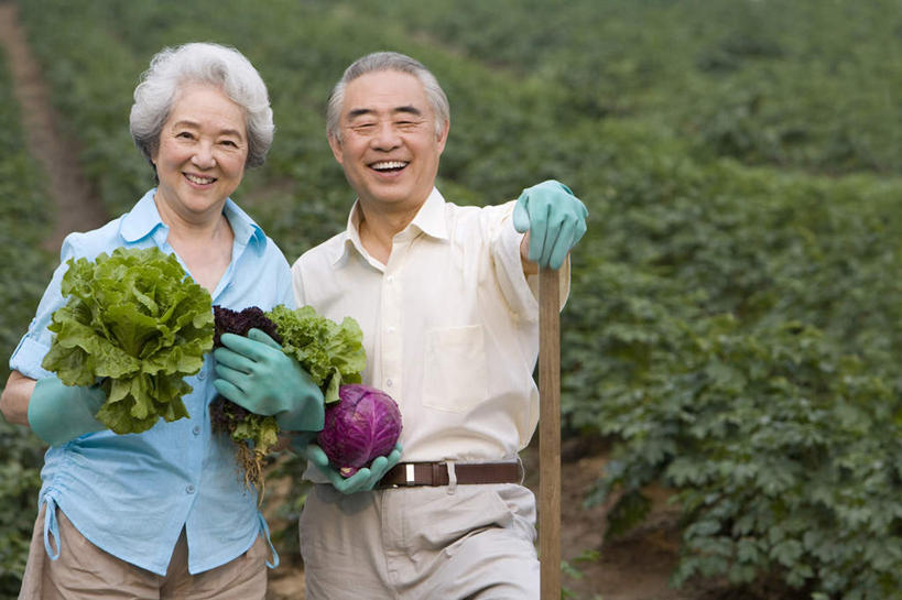 东方人,老年人,两个人,菜园,农田,农场,笑,微笑,露齿笑,横图,室外,白天,正面,旅游,度假,快乐,幸福,安全,农业,庄稼,农作物,采摘,美景,蔬菜,北京,中国,亚洲,连接,种植,景观,园艺,莴苣,紫甘蓝,食品,防护,拿着,休闲装,娱乐,饮食,自然,手套,夏天,享受,休闲,健康,甘蓝,景色,放松,摄影,有机食品,生长,生活方式,收获,保护,退休,关爱,清新,自然风光,肖像,保险,东亚,健康食物,保全,周全,安稳,安定,防护手套,平安,老年男性,老年女性,男人,男性,女人,女性,亚洲人,中国人,休闲活动,半身,彩图,爱,耕地,庄稼田,人老心不老