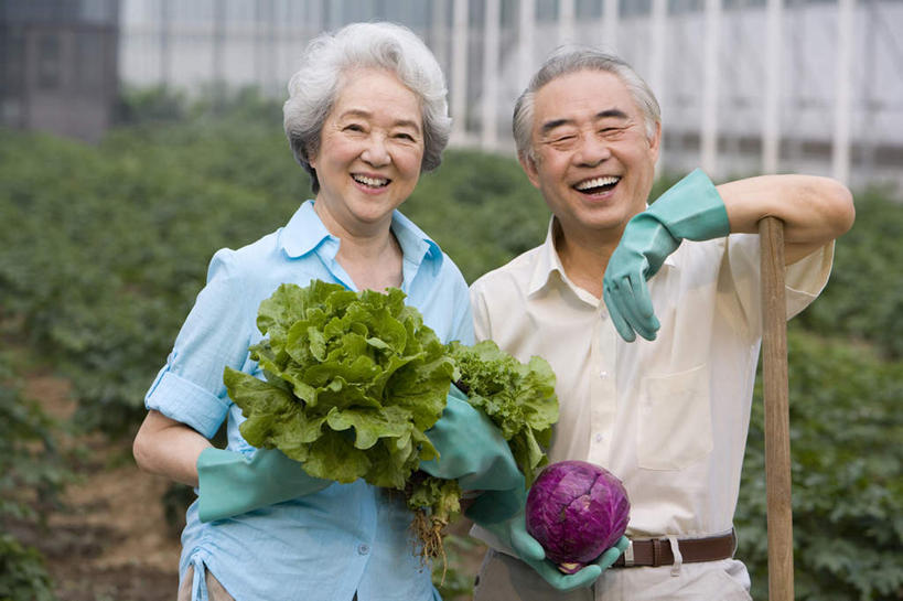东方人,老年人,两个人,菜园,农田,农场,笑,微笑,露齿笑,横图,室外,白天,正面,旅游,度假,快乐,幸福,安全,农业,庄稼,农作物,采摘,美景,蔬菜,北京,中国,亚洲,连接,种植,景观,园艺,莴苣,紫甘蓝,食品,防护,拿着,休闲装,娱乐,饮食,自然,手套,夏天,享受,休闲,健康,甘蓝,景色,放松,摄影,有机食品,生长,生活方式,收获,保护,退休,关爱,清新,自然风光,肖像,保险,东亚,健康食物,保全,周全,安稳,安定,防护手套,平安,老年男性,老年女性,男人,男性,女人,女性,亚洲人,中国人,休闲活动,半身,彩图,爱,耕地,庄稼田,人老心不老