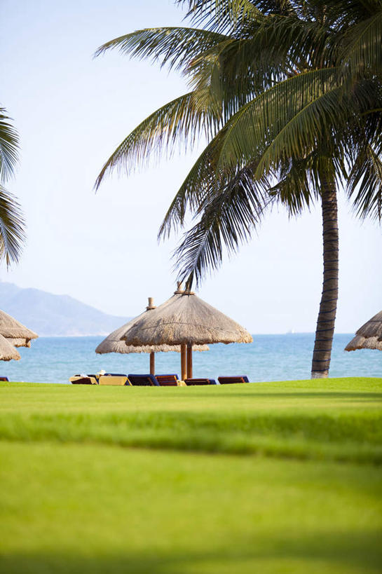 无人,竖图,室外,白天,正面,旅游,度假,水,棕榈树,三亚,中国,亚洲,行人,游客,游人,地形,草棚,娱乐,路人,旅客,草,树,风景,天空,自然,夏天,享受,休闲,放松,摄影,生活方式,热带气候,华贵,露营,野营,东亚,海南岛,宿营,过客,海滩,休闲活动,彩图,旅行,小屋