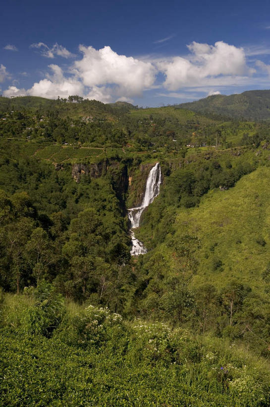 无人,竖图,俯视,室外,白天,旅游,度假,草地,草坪,美景,瀑布,山,山脉,树林,水,植物,斯里兰卡,亚洲,阴影,飞溅,平静,溅,光线,液体,影子,景观,山峰,水滴,云,云朵,山峦,云彩,娱乐,水珠,草,树,树木,蓝色,绿色,白云,蓝天,天空,阳光,自然,群山,天,享受,休闲,景色,安静,放松,茂盛,生长,晴朗,成长,宁静,繁茂,静谧,喷洒,自然风光,南亚,镇静,斯里兰卡民主社会主义共和国,兴旺,冷静,沉静,昌盛,恬静,安祥,僻静,清静,太平,昌隆,畅旺,发达,蕃芜,繁盛,富强,隆盛,蓬勃,旺盛,兴隆,兴盛,郁勃,努瓦拉埃利亚,努沃勒埃利耶,跌水,晴空,彩图,高角度拍摄