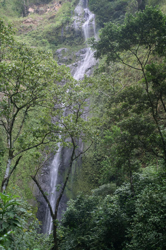 无人,竖图,室外,白天,仰视,安全,美景,瀑布,树林,水,植物,尼加拉瓜,阴影,飞溅,平静,溅,光线,液体,影子,景观,水滴,水珠,树,树木,绿色,阳光,自然,景色,生长,成长,宁静,北美,北美洲,喷洒,自然风光,美洲,和平,安详,北亚美利加洲,亚美利加洲,太平,安适,尼加拉瓜共和国,安好,宁靖,跌水,彩图,低角度拍摄