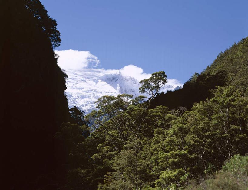 无人,公园,横图,室外,白天,仰视,旅游,度假,冰山,草地,草坪,石头,美景,山,山脉,植物,新西兰,阴影,光线,石子,影子,冰,景观,山峰,云,云朵,山峦,云彩,娱乐,冰川,草,树,树木,蓝色,绿色,白云,蓝天,天空,阳光,自然,群山,天,享受,休闲,景色,放松,寒冷,生长,晴朗,成长,冰冷,国家公园,自然风光,大洋洲,冰河,沉积岩,山毛榉,严寒,纽西兰,冰凉,酷寒,凛冽,凛凛,极冷,麻栎金刚,山毛榉树,长白云之乡,新西兰南岛,水成岩,阿斯派灵山国家公园,艾斯派林山国家公园,石块,岩石,晴空,彩图,低角度拍摄