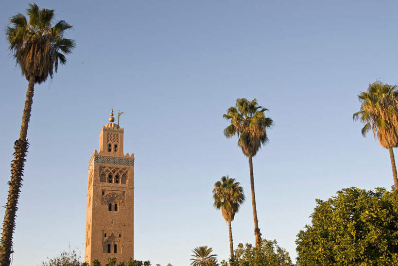 无人,寺庙,横图,室外,白天,仰视,旅游,度假,名胜古迹,植物,标志建筑,地标,建筑,棕榈树,叶子,非洲,摩洛哥,阴影,节日,遗迹,光线,影子,墙,绿叶,燃烧,古迹,文化,文物,娱乐,建设,古建筑,墙壁,墙面,树,树木,蓝色,绿色,蓝天,天空,阳光,自然,香火,庙宇,天,祈祷,享受,休闲,健康,嫩叶,旅游胜地,放松,许愿,宗教,信仰,生长,晴朗,成长,纪念,祈求,古文明,棕榈叶,万里无云,阿非利加洲,摩洛哥王国,马拉喀什,库图比亚清真寺,库杜比亚清真寺,平安,叶,叶片,晴空,晴空万里,彩图,低角度拍摄,庙,寺
