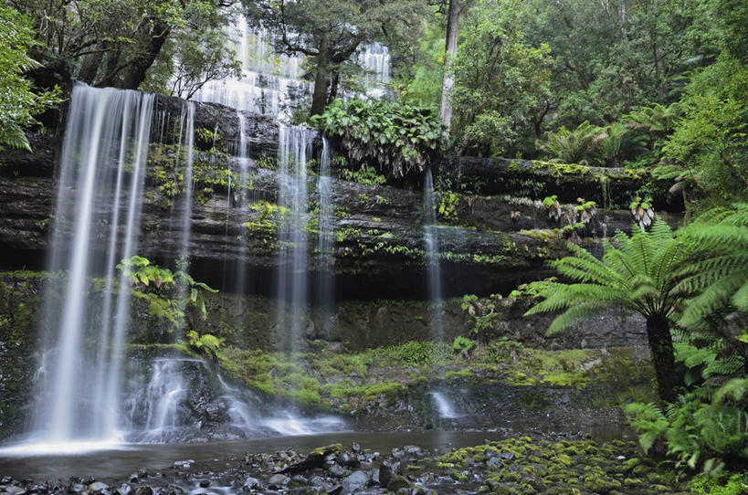无人,公园,横图,室外,白天,正面,旅游,度假,草地,草坪,河流,石头,美景,瀑布,水,植物,澳大利亚,阴影,飞溅,溅,光线,石子,液体,影子,河水,景观,水滴,水流,娱乐,水珠,草,树,树木,绿色,小溪,阳光,自然,溪水,享受,休闲,景色,放松,生长,成长,国家公园,喷洒,自然风光,大洋洲,塔斯马尼亚,澳洲,沉积岩,南方大陆,澳大利亚联邦,塔斯马尼亚州,水成岩,菲欣纳国家公园,跌水,石块,岩石,彩图