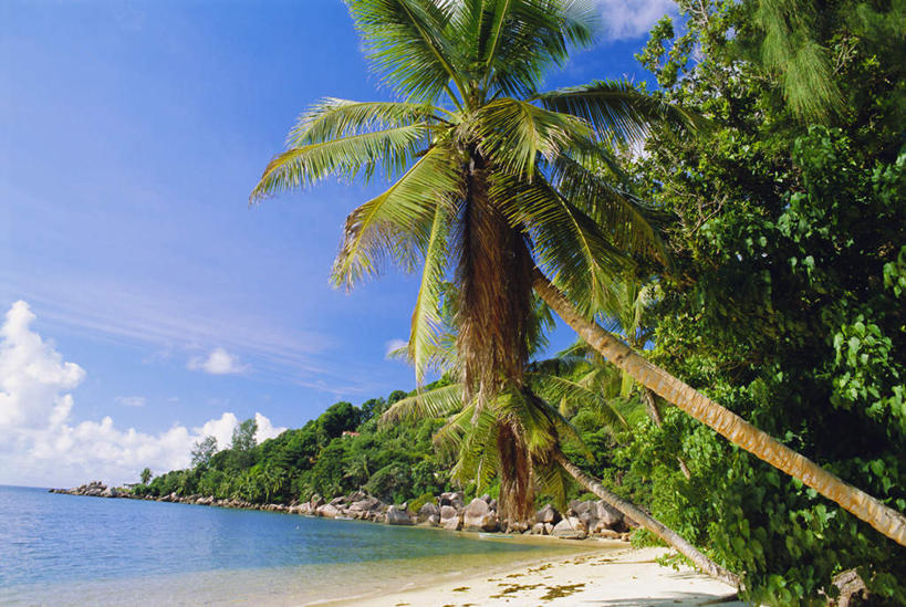 无人,横图,室外,白天,正面,旅游,度假,海浪,海洋,石头,美景,沙滩,植物,棕榈树,叶子,非洲,塞舌尔,阴影,光线,沙子,石子,影子,海岸,景观,浪花,水平线,云,云朵,辽阔,绿叶,海平线,沙地,云彩,娱乐,树,树木,蓝色,绿色,白云,蓝天,天空,阳光,自然,海水,天,享受,休闲,广阔,嫩叶,景色,放松,生长,晴朗,成长,一望无际,自然风光,海景,棕榈叶,塞舌尔共和国,阿非利加洲,东非,无边无际,一马平川,普拉斯林岛,叶,叶片,大海,风浪,海,海水的波动,海滩,近岸浪,石块,岩石,涌浪,晴空,彩图,水天相接,水天一线