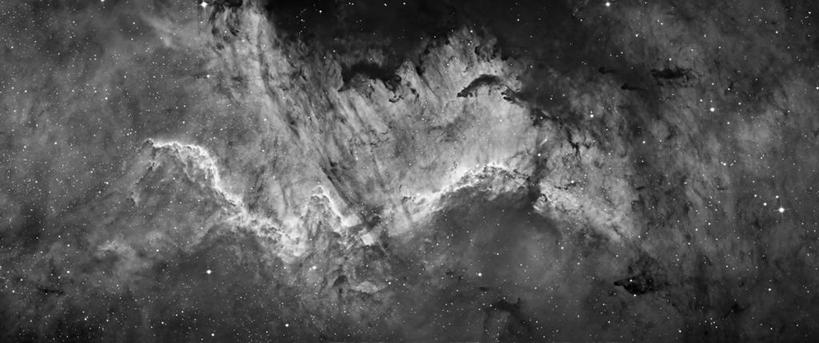 无人,横图,全景,黑白,天鹅,星星,星云,摄影,天文学