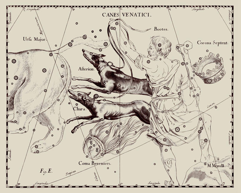 无人,横图,地图,艺术,科学,星星,猎犬,摄影,星座,天文学,牧夫座,拉丁文,彩图,雕刻术