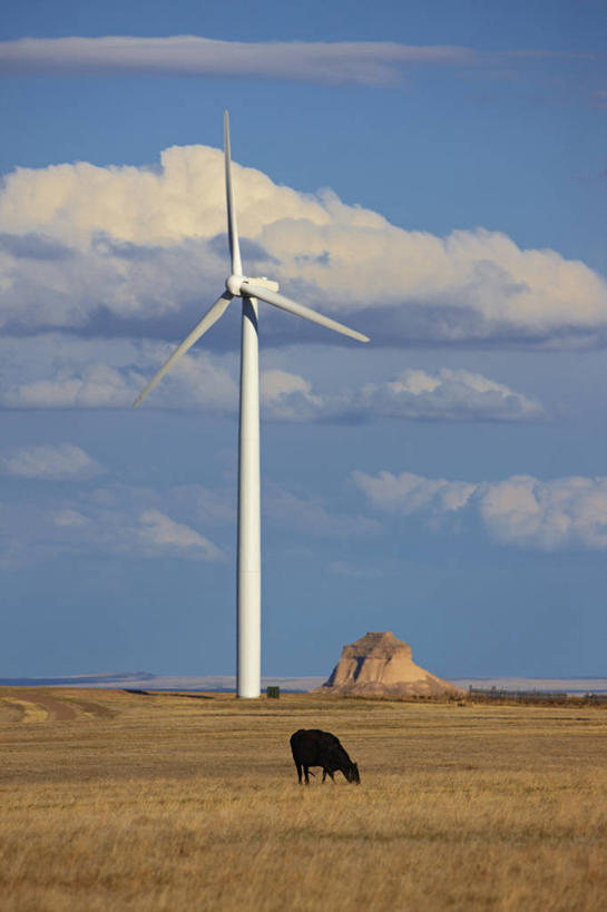 无人,竖图,室外,白天,农业,技术,风,美国,环保,风力,草,平原,家畜,工业,摄影,能源,电,电源,回收,资源,工程,反差,利用,低碳,循环,替代能源,涡轮,科罗拉多州,母牛,持续,风轮机,彩图,大平原