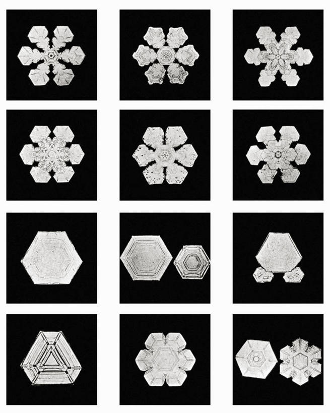 无人,竖图,黑白,微距,美国,标志,格子,六边形,数字,文字,字符,冰,雪花,标识,冰晶,摄影,阿拉伯数字,北美,北美洲,美洲,佛蒙特州,佛蒙特,绿岭之州,北亚美利加洲,亚美利加洲,美利坚合众国,耶利哥