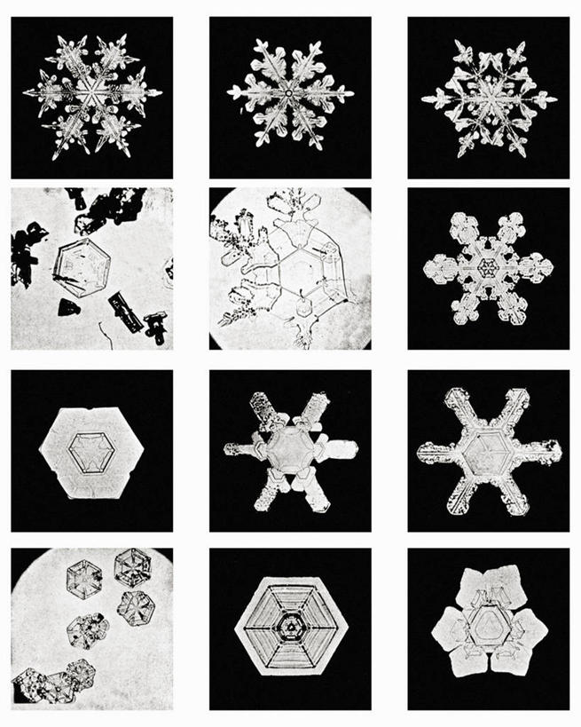 无人,竖图,黑白,微距,美国,标志,格子,六边形,数字,文字,字符,冰,雪花,标识,冰晶,摄影,阿拉伯数字,北美,北美洲,美洲,佛蒙特州,佛蒙特,绿岭之州,北亚美利加洲,亚美利加洲,美利坚合众国,耶利哥
