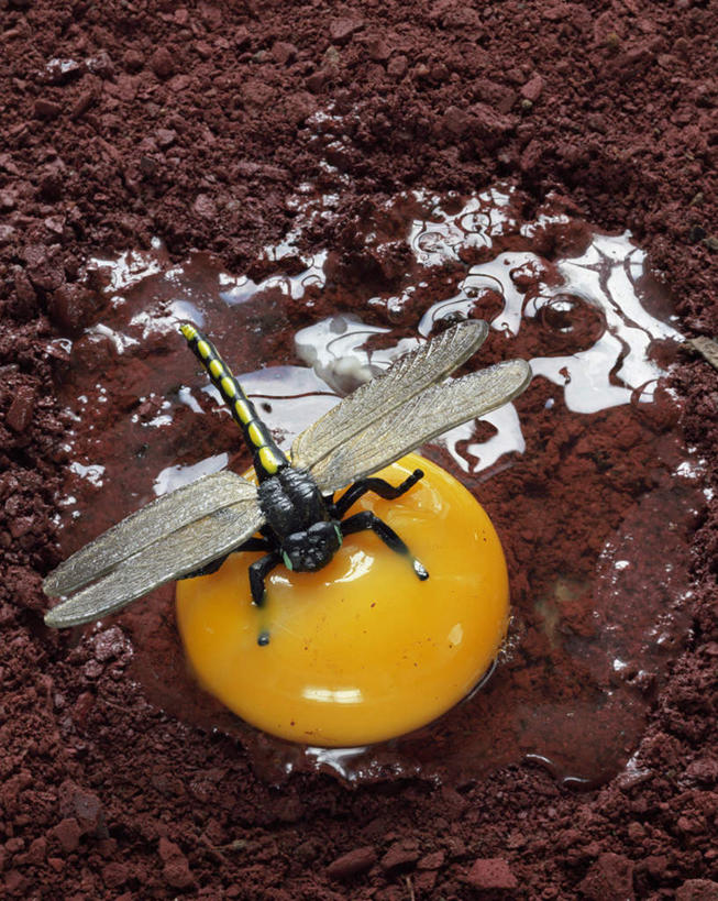 无人,竖图,俯视,室外,特写,白天,游戏,美景,玩具,阴影,平静,光线,蜻蜓,昆虫,影子,景观,泥土,土壤,蛋,鸡蛋,玩,娱乐,一个,一只,黄色,红色,阳光,自然,动物,休闲,景色,安静,益智,栖息,单个,活动,宁静,发泄,静谧,消遣,智力,自然风光,益虫,宣泄,卵,沉静,恬静,安祥,僻静,清静,太平,栖身,玩耍,嬉戏,彩图,高角度拍摄,全身