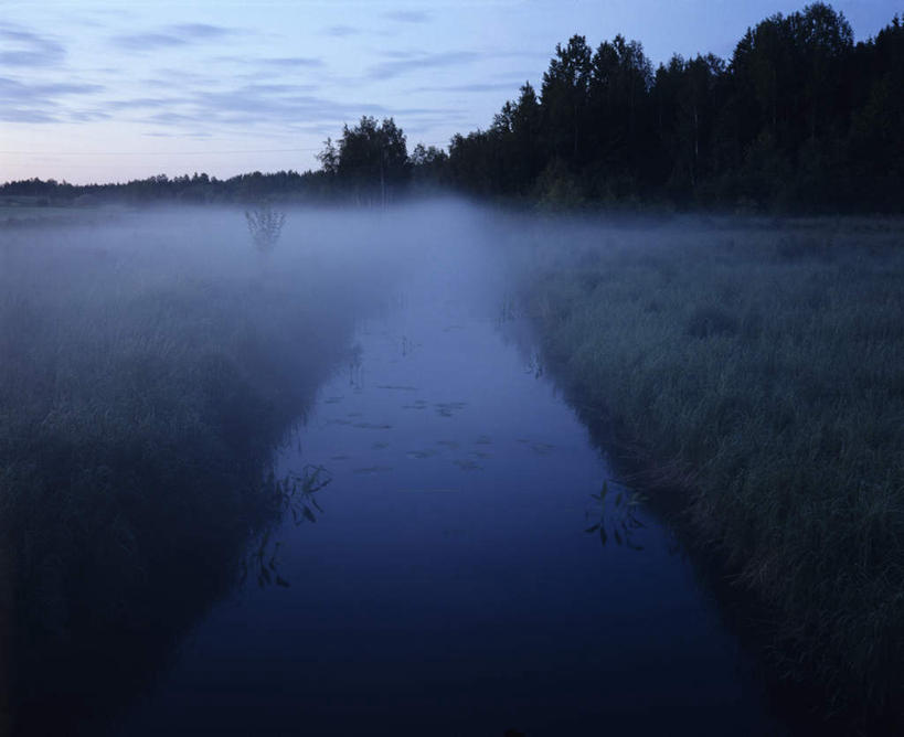 无人,横图,室外,白天,正面,草地,草坪,河流,美景,日落,水,植物,雾,瑞典,欧洲,朦胧,模糊,平静,河水,景观,水流,晚霞,霞光,落日,草,树,树木,绿色,倒影,自然,黄昏,景色,彩霞,安静,茂密,茂盛,生长,成长,宁静,迷雾,倒映,斯堪的纳维亚,静谧,自然风光,北欧,斯堪的纳维亚半岛,沉静,恬静,安祥,僻静,清静,太平,瑞典王国,夕照,反照,大雾,夕阳,彩图,斜阳