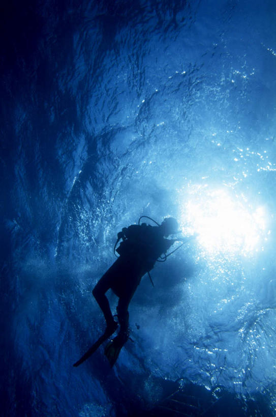 游泳,西方人,一个人,竖图,室外,白天,仰视,海浪,海洋,欧洲,欧洲人,仅一个男性,仅一个人,浪花,背光,仅一个年轻男性,海水,逆光,海景,泅水,拍浮,男人,男性,年轻男性,白种人,大海,风浪,海,海水的波动,近岸浪,涌浪,彩图,低角度拍摄,全身