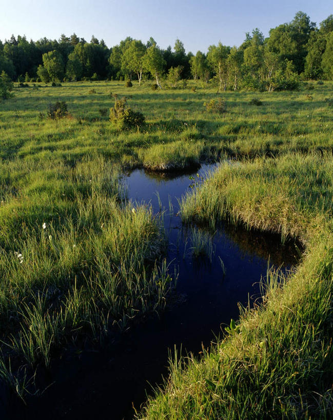无人,竖图,俯视,室外,白天,旅游,度假,草地,草原,草坪,河流,美景,水,植物,瑞典,欧洲,阴影,光线,影子,河水,景观,旷野,水流,娱乐,草,树,树木,蓝色,绿色,倒影,蓝天,天空,阳光,自然,天,享受,休闲,景色,放松,生长,成长,倒映,斯堪的纳维亚,自然风光,原野,北欧,斯堪的纳维亚半岛,瑞典王国,反照,彩图,高角度拍摄
