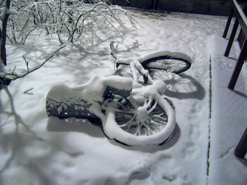 无人,横图,俯视,室外,白天,旅游,度假,美景,雪,植物,大雪,自行车,瑞典,欧洲,一堆,一辆,堆叠,堆积,积雪,景观,雪景,冬季,冬天,枝条,娱乐,车,脚踏车,树,树木,树枝,自然,交通工具,享受,休闲,景色,放松,寒冷,堆,斯堪的纳维亚,自然风光,载具,北欧,斯堪的纳维亚半岛,严寒,瑞典王国,倒塌,虬枝,枝杈,彩图,高角度拍摄