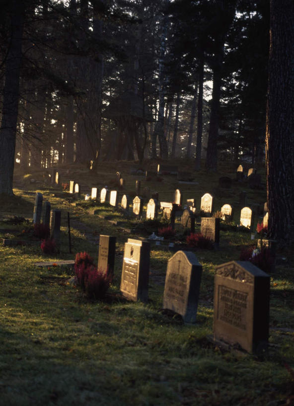 无人,竖图,室外,白天,正面,旅游,度假,草地,草坪,美景,植物,一排,阴影,新鲜,整齐,光线,英文,标志,文字,影子,字符,字母,景观,娱乐,标识,草,树,树木,排列,绿色,阳光,自然,墓碑,享受,休闲,墓地,景色,放松,生长,成长,纪念,留念,青春,英文字母,坟墓,陵墓,生命,队列,自然风光,怀念,和平,安详,坟场,记念,冷色,彩图