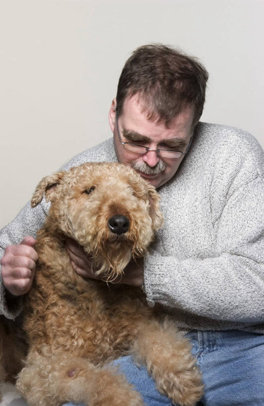 西方人,一个人,坐,竖图,室内,白天,白色背景,正面,宠物,狗,欧洲,欧洲人,仅一个男性,仅一个人,仅一个中年男性,阴影,服装,光线,影子,墙,梗犬,扭头,注视,休闲装,墙壁,墙面,一只,衣服,阳光,动物,低头,观察,看,转头,休闲,休闲服,可爱,摄影,服饰,影棚,观看,察看,关注,忠诚,艾尔谷梗,艾尔谷犬,河畔梗,男人,男性,中年男性,白种人,犬,坐着,半身,彩图,影棚拍摄,拍摄