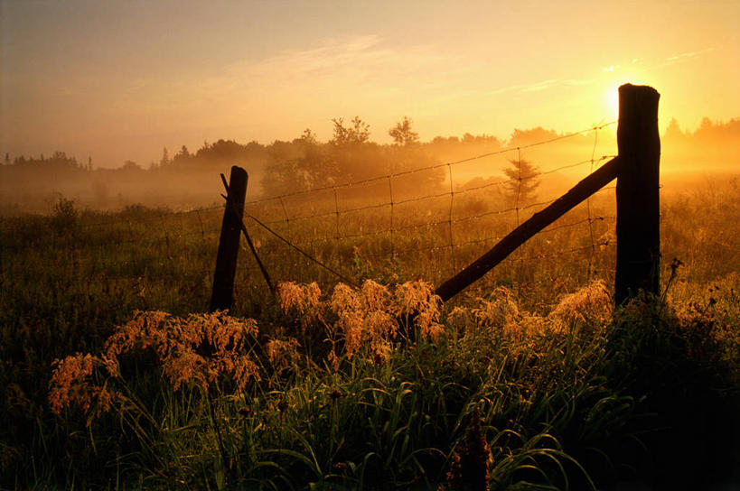 无人,横图,室外,白天,正面,旅游,度假,草地,草原,日出,美景,太阳,植物,加拿大,阴影,盛开,光线,影子,景观,旷野,云,云朵,树桩,朝霞,晨曦,黎明,花蕾,云彩,娱乐,草,花,花瓣,花朵,鲜花,树,树干,树木,蓝色,绿色,白色,白云,蓝天,天空,阳光,自然,天,花苞,花蕊,享受,休闲,木桩,景色,放松,生长,成长,北美,北美洲,自然风光,原野,美洲,北亚美利加洲,亚美利加洲,杆子,朝阳,彩图,破晓