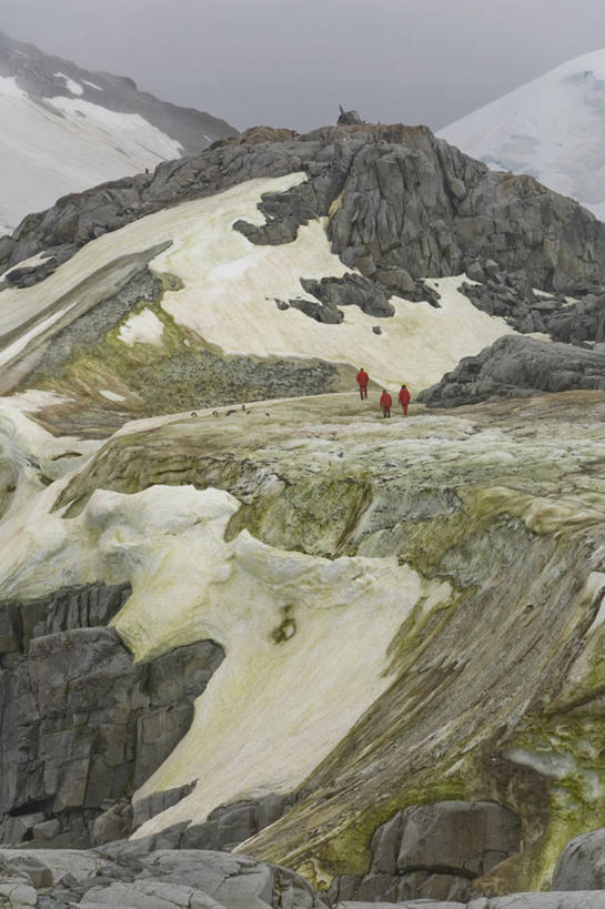 西方人,三个人,攀登,竖图,俯视,航拍,室外,白天,锻炼,旅游,度假,探险,运动,攀岩,石头,美景,山,雪,雪山,大雪,欧洲,欧洲人,阴影,光线,石子,影子,冰,积雪,景观,山峰,雪景,冬季,冬天,山峦,娱乐,极限运动,阳光,自然,享受,休闲,爬,景色,放松,寒冷,连绵,冰冷,绵延,鸟瞰,自然风光,室外运动,南极洲,户外运动,勇敢,严寒,冰凉,酷寒,凛冽,凛凛,极冷,联贯,大胆,格雷厄姆地,南极半岛,南极大陆,帕默半岛,冒险,体育,老年男性,男人,男性,白种人,石块,岩石,登山,攀爬,彩图,高角度拍摄,全身,健身,彼得曼岛