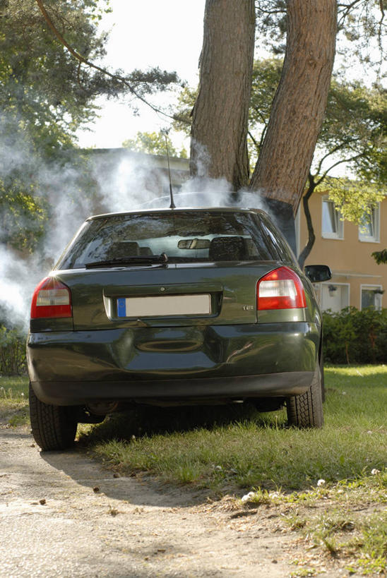 无人,家,竖图,室外,白天,正面,草地,草坪,植物,窗户,汽车,一辆,一排,阴影,整齐,并列,并排,光线,影子,房屋,屋子,泥土,土壤,破坏,楼房,破损,玻璃窗,住宅,车,草,树,树木,排列,绿色,阳光,自然,交通工具,轿车,生长,成长,损坏,队列,载具,平行,事故,彩图,房子