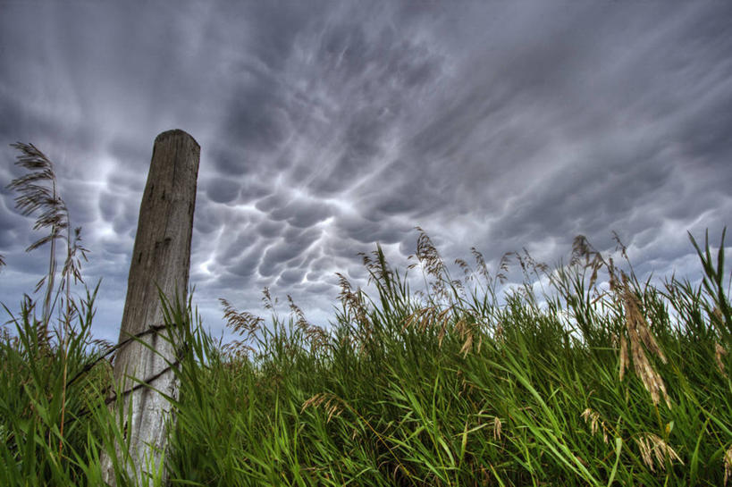 无人,横图,室外,白天,仰视,旅游,度假,草地,草原,日出,美景,太阳,植物,加拿大,阴影,新鲜,光线,影子,景观,旷野,云,云朵,树桩,朝霞,晨曦,黎明,云彩,娱乐,草,树,树干,蓝色,绿色,白云,蓝天,天空,阳光,自然,天,享受,休闲,广阔,宽广,木桩,景色,放松,晴朗,青春,北美,北美洲,生命,宽阔,自然风光,原野,美洲,和平,安详,北亚美利加洲,亚美利加洲,广大,冷色,朝阳,晴空,彩图,低角度拍摄,破晓