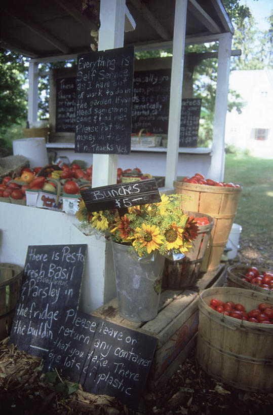 无人,商店,交叉,竖图,室外,白天,正面,购物,消费,竹子,水果,竹制,新鲜,编织,标志,篮子,文字,字符,字母,生食,食品,果实,标识,食物,竹篮,黑板,教学,金融,百货,有机食品,绿色食品,竹条,交织,竹制品,选购,贸易,血拼,穿插,耐磨,教学黑板,彩图,店铺,杂货店,杂货铺