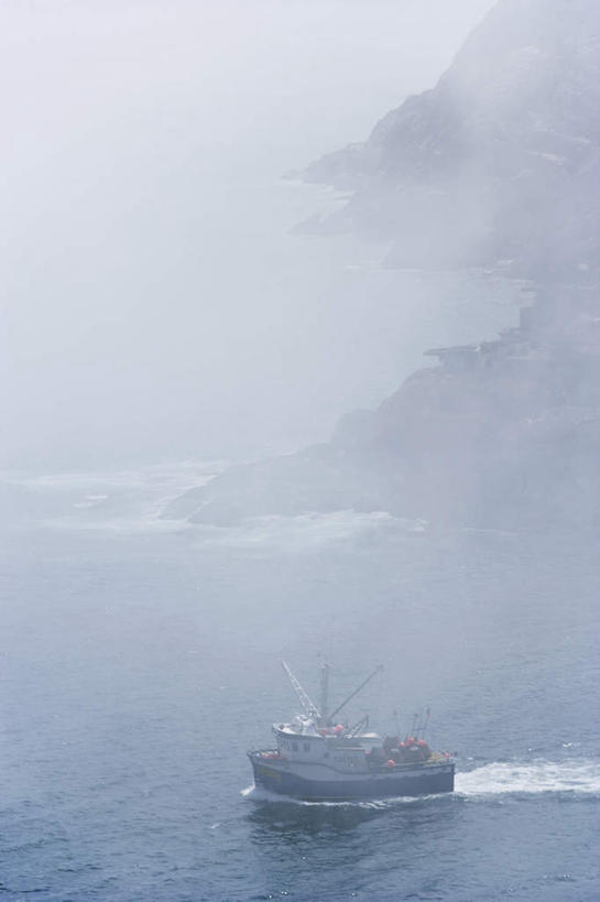 无人,竖图,俯视,室外,白天,旅游,度假,草地,草坪,海浪,海洋,美景,山,山脉,植物,轮船,船,加拿大,一艘,波纹,飞溅,溅,液体,景观,浪花,山峰,水滴,山峦,娱乐,水珠,草,绿色,水纹,自然,海水,船尾波,交通工具,波浪,群山,享受,休闲,景色,放松,北美,北美洲,喷洒,自然风光,载具,美洲,海景,北亚美利加洲,亚美利加洲,纽芬兰,纽芬兰省,大海,风浪,海,海水的波动,近岸浪,涌浪,彩图,高角度拍摄