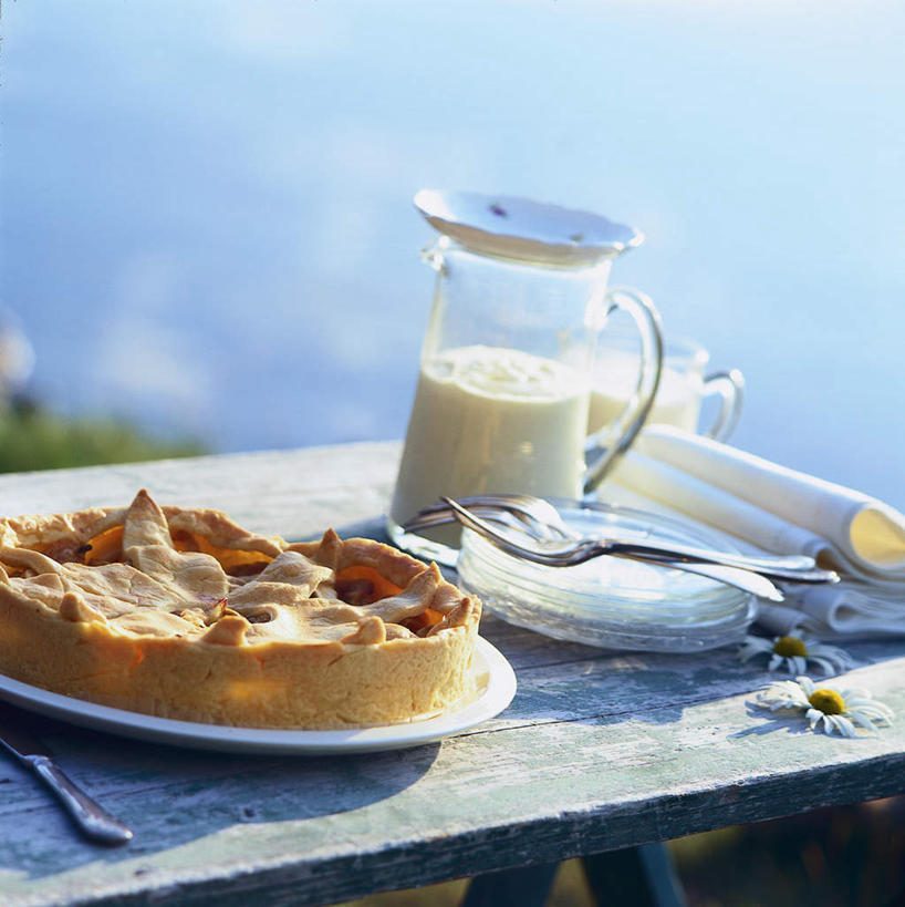 点心,牛奶,无人,横图,俯视,室内,白天,旅游,度假,下午茶,美景,山,山脉,植物,桌面,桌子,杯子,餐具,金属制品,阴影,朦胧,模糊,光线,金属,木制,碟子,盘,影子,勺子,景观,山峰,食品,山峦,饮品,营养,娱乐,玻璃制品,树,树木,食物,糕点,饮料,蓝色,绿色,蓝天,天空,阳光,自然,盘子,木制品,水杯,调羹,碟,汤匙,群山,天,享受,休闲,景色,放松,生长,晴朗,成长,乳制品,奶,自然风光,万里无云,安神,玻璃杯,晴空,晴空万里,彩图,高角度拍摄,蛋糕