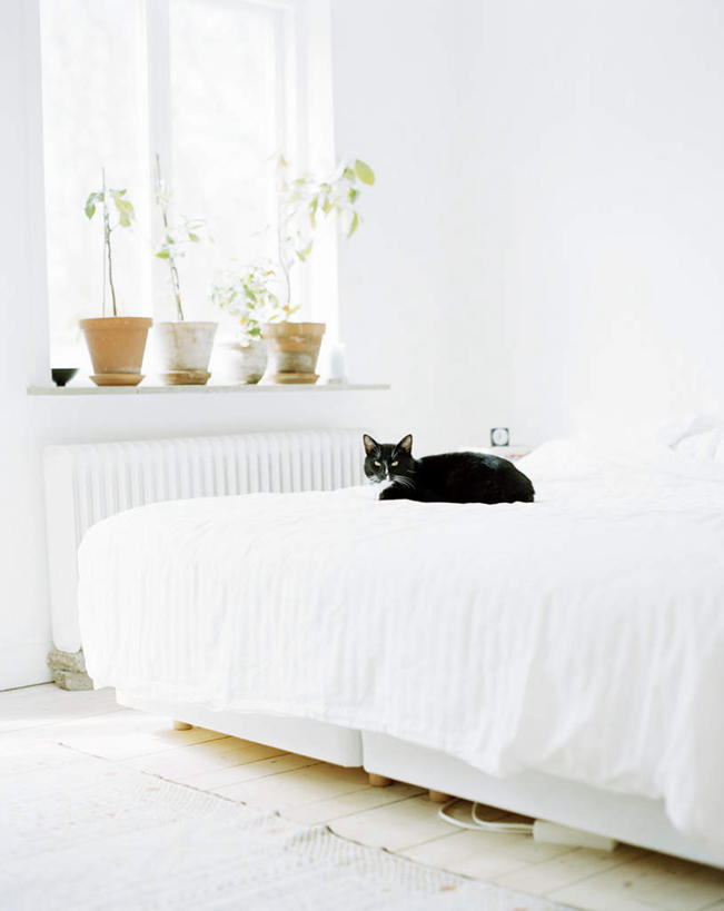 无人,家,露台,坐,竖图,室内,白天,正面,植物,别墅,窗户,窗帘,床,阳台,宠物,猫,一排,整齐,装饰,盆栽,房屋,屋子,公寓,床单,盆景,注视,被子,洋房,楼房,玻璃窗,住宅,排列,一只,绿色,黑色,自然,帘子,动物,观察,看,遮阳,可爱,单人床,生长,成长,观看,华丽,修饰,点缀,察看,放置,搁置,安排,被单,队列,关注,猫咪,衬托,美观,雅致,雅观,四盆,坐着,彩图,全身,房子,露天阳台