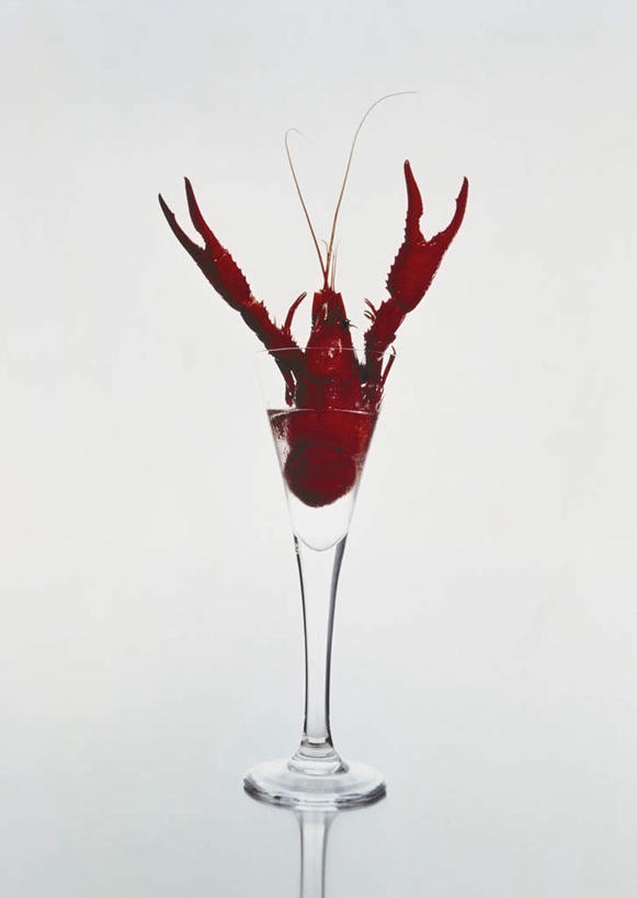 海鲜,龙虾,无人,竖图,室内,特写,白天,白色背景,正面,杯子,阴影,光线,高脚杯,影子,灯光,虾,水产,海洋生物,玻璃制品,一只,红色,酒杯,创意,摄影,影棚,死亡,水生动物,海产品,水生物,创新,海底动物,新意,殒命,灭亡,玻璃杯,彩图,全身,影棚拍摄,拍摄
