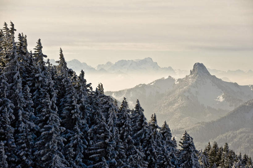 无人,横图,室外,白天,正面,旅游,度假,美景,森林,山,树林,雪,雪山,植物,大雪,德国,欧洲,冰,积雪,景观,山峰,雪景,冬季,冬天,山峦,娱乐,树,树木,绿色,自然,享受,休闲,景色,放松,寒冷,生长,成长,冰冷,西欧,自然风光,德意志联邦共和国,严寒,冰凉,酷寒,凛冽,凛凛,极冷,巴伐利亚,巴伐利亚州,拜恩州,拜恩自由州,特格尔恩湖,彩图