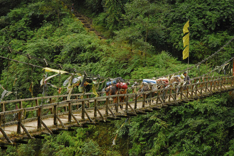 无人,走,横图,室外,白天,正面,旅游,度假,美景,森林,树林,植物,大桥,立交桥,桥梁,印度,亚洲,许多,景观,高架,斜拉桥,桥,很多,娱乐,经幡,树,树木,绿色,自然,动物,享受,休闲,家畜,景色,放松,牲畜,生长,成长,自然风光,南亚,驴,风马旗,印度共和国,驴子,锡金,锡金邦,步行,散步,走路,彩图,全身