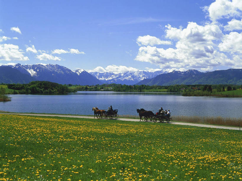 西方人,伙伴,朋友,坐,横图,室外,白天,正面,旅游,度假,友谊,草地,草坪,湖,湖泊,美景,山,山脉,水,植物,马,野生动物,德国,欧洲,欧洲人,波纹,服装,湖面,景观,山峰,水流,水面,云,云朵,马车,涟漪,山峦,许多人,云彩,注视,休闲装,娱乐,车,草,衣服,蓝色,绿色,白云,蓝天,水纹,天空,自然,动物,交通工具,波浪,湖水,群山,天,观察,看,一群人,享受,休闲,休闲服,景色,放松,运输,服饰,牲畜,晴朗,观看,察看,西欧,关注,自然风光,载具,德意志联邦共和国,水晕,巴伐利亚,巴伐利亚州,拜恩州,拜恩自由州,友情,老年男性,老年女性,男人,男性,女人,女性,白种人,晴空,坐着,半身,彩图
