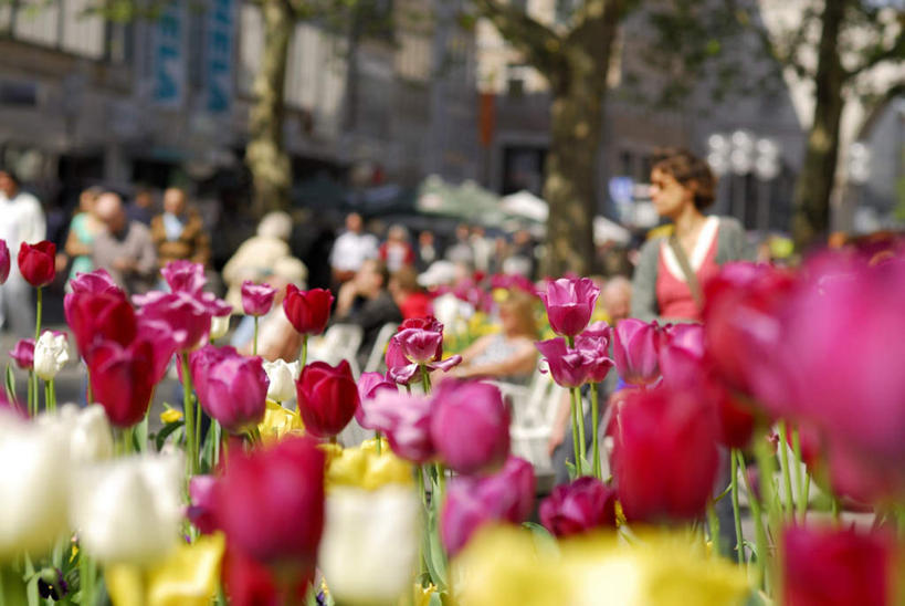 高楼大厦,坐,走,说,横图,室外,白天,正面,爱情,度假,讨论,美景,植物,城市风光,城市,大厦,道路,建筑,路,摩天大楼,郁金香,椅子,德国,欧洲,阴影,朦胧,模糊,盛开,光线,影子,木椅,躺椅,景观,小路,交通,许多人,祝福,花蕾,注视,娱乐,花,花瓣,花朵,鲜花,树,树木,绿色,阳光,自然,楼宇,花苞,花蕊,观察,看,一群人,享受,休闲,景色,放松,生长,成长,观看,察看,表白,西欧,关注,荣誉,德意志联邦共和国,永恒,巴伐利亚,巴伐利亚州,拜恩州,拜恩自由州,交流,老年男性,老年女性,男人,男性,年轻男性,年轻女性,女人,女性,郁香,洋荷花,草麝香,步行,沟通,讲话,交谈,散步,商讨,说话,谈话,走路,坐着,半身,彩图,大楼,高层建筑,高楼,摩天楼
