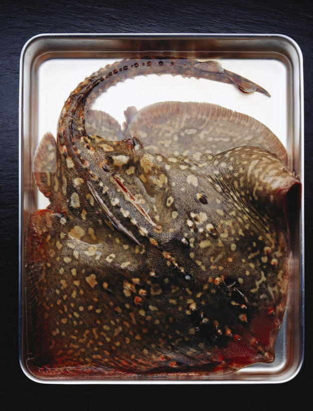 海鲜,无人,竖图,俯视,室内,特写,白天,桌面,桌子,比目鱼,餐具,一条,阴影,光线,木制,鱼,碟子,盘,影子,斑点,水产,海洋生物,一个,黑色,盘子,木制品,碟,单个,水生动物,海产品,水生物,海底动物,鲽鱼,彩图,高角度拍摄,全身