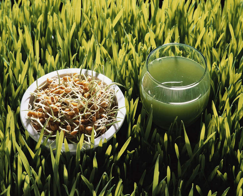 果汁,无人,农田,横图,俯视,室外,特写,白天,爱情,自由,幸福,农业,庄稼,农作物,小麦,餐具,阴影,丰收,朦胧,模糊,新鲜,光线,碟子,罐子,盘,影子,稻田,谷物,三叶草,饮品,玻璃制品,饮料,一个,绿色,白色,阳光,盘子,玻璃瓶,瓶子,碟,麦子,收获,单个,青春,希望,生命,可口,和平,安详,车轴草,苜蓿,统一,冷色,适口,团结,彩图,高角度拍摄,耕地,庄稼田