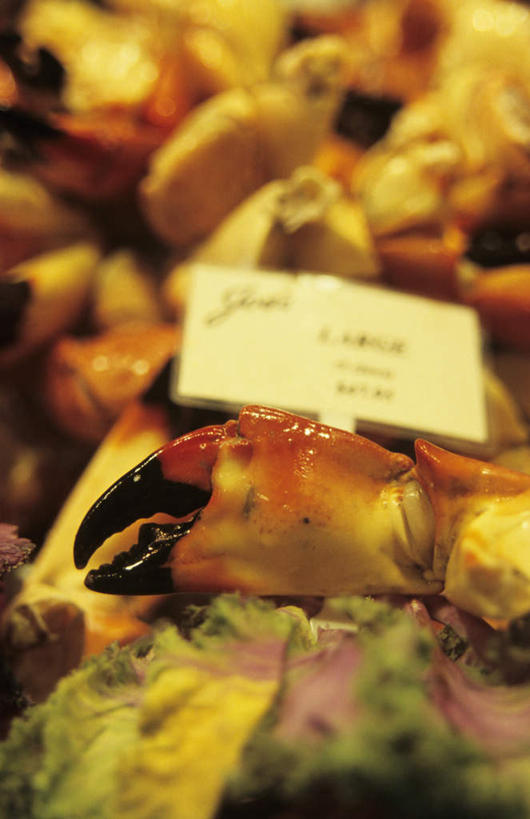 海鲜,蟹,无人,竖图,俯视,室内,特写,白天,桌面,桌子,蔬菜,椰菜,卷心菜,一堆,许多,阴影,堆叠,堆积,朦胧,模糊,新鲜,光线,木制,英文,螃蟹,标志,文字,影子,字符,字母,食品,很多,标识,水产,海洋生物,食物,木制品,甘蓝,有机食品,绿色食品,堆,英文字母,水生动物,海产品,水生物,海底动物,石蟹,蟹化石,结球甘蓝,甘兰,包心菜,彩图,高角度拍摄