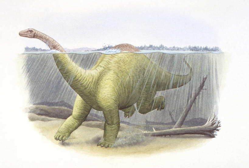 游泳,无人,横图,插画,室外,白天,数码,科技,海洋,水,野生动物,日光,阴影,网络,高光,几何,计算机图形,合成,图画,历史,画,自然,动物,恐龙,环境,电脑合成图,数码合成图,合成图,圆木,漫画,写实,具体,具象,古代史,地质学,梁龙,史前时代,彩图,中生代,白垩系,过去,古生物学