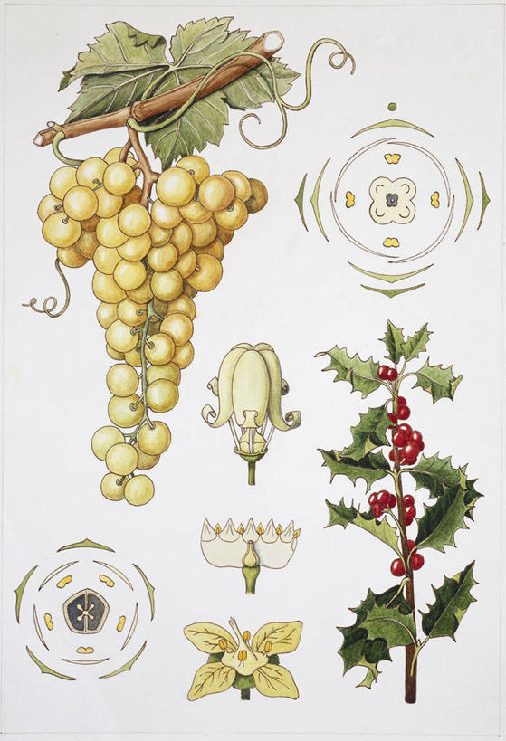 无人,竖图,插画,白色背景,数码,科技,植物,水果,阴影,网络,高光,几何,计算机图形,合成,图画,饮食,画,花,自然,电脑合成图,数码合成图,生物学,孢子,合成图,漫画,写实,具体,具象,彩图