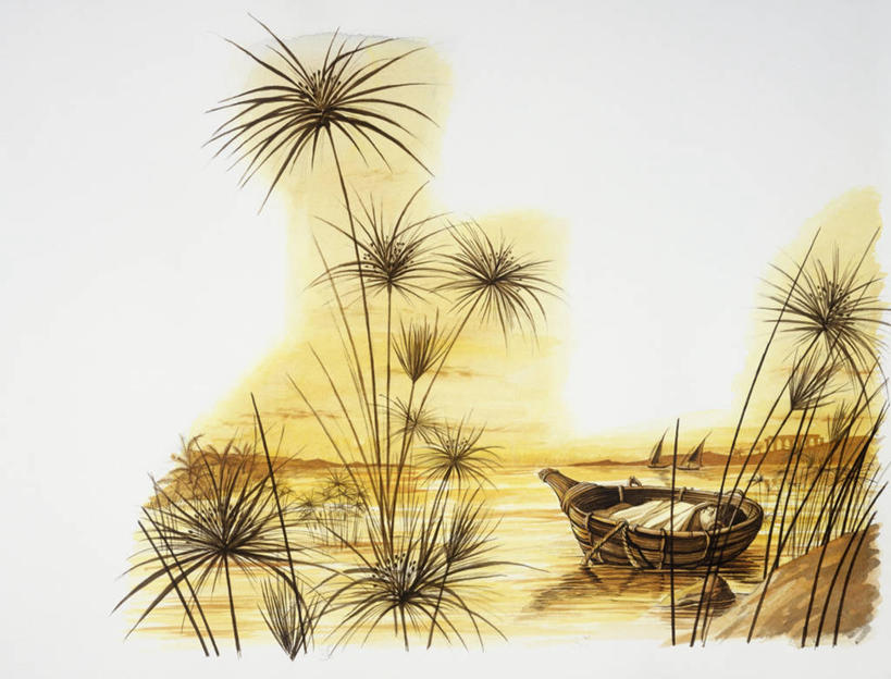 婴儿,儿童,一个人,横图,插画,室外,纯洁,寂寞,数码,科技,日出,河流,尼罗河,仅一个人,阴影,节日,漂浮,网络,篮子,流水,圣经,黎明,高光,几何,计算机图形,合成,图画,历史,文化,画,小孩,祈祷,健康,可爱,许愿,宗教,信仰,活泼,纪念,祈求,电脑合成图,数码合成图,基督教,合成图,天主教,宝宝,经书,漫画,纯真,烂漫,无邪,写实,具体,具象,旧约,伶俐,平安,天真,孩子,彩图,独处,性格