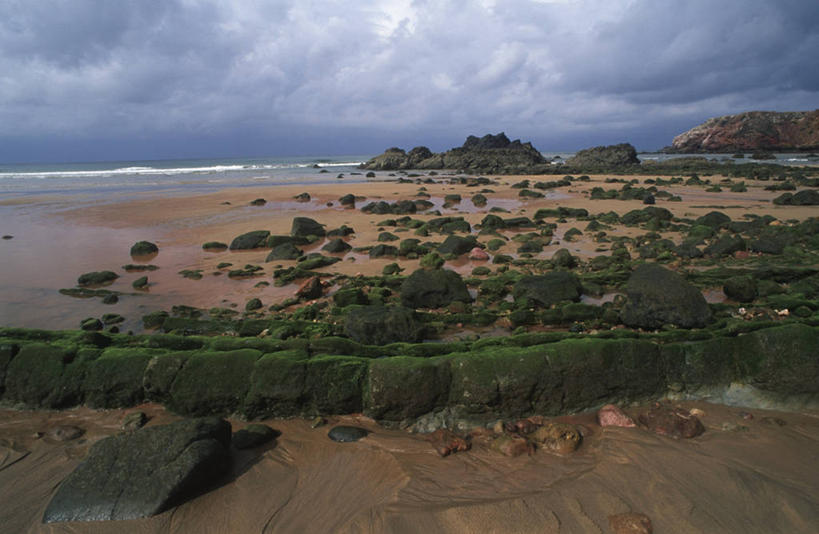 无人,横图,室外,白天,旅游,度假,海洋,美景,葡萄牙,沙子,地形,海岸线,景观,水平线,悬崖,云,苔藓,娱乐,风景,自然,享受,休闲,景色,熔岩,大西洋,放松,摄影,退潮,宁静,藻类,岩层,自然风光,自然地理,海滩,岩石,彩图