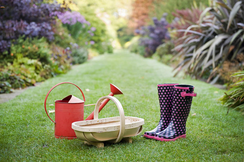 无人,横图,室外,白天,留白,草坪,美景,静物,金属,木制,喷壶,雨鞋,斑点,景观,园艺,设备,靴子,物品,草,三个,红色,自然,橙色,景色,摄影,自然风光,秋天,彩图,对焦