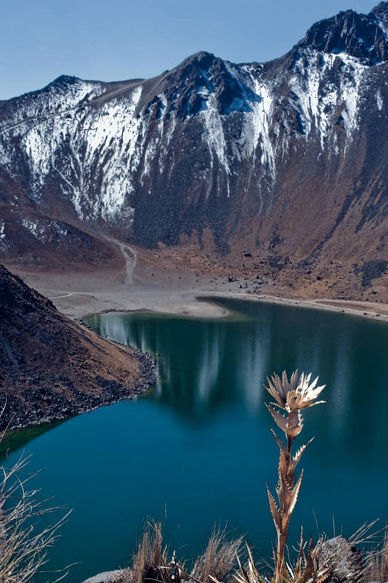 无人,竖图,室外,白天,湖,火山,雪,墨西哥,反射,花,风景,摄影,宁静,拉丁美洲,活火山,彩图