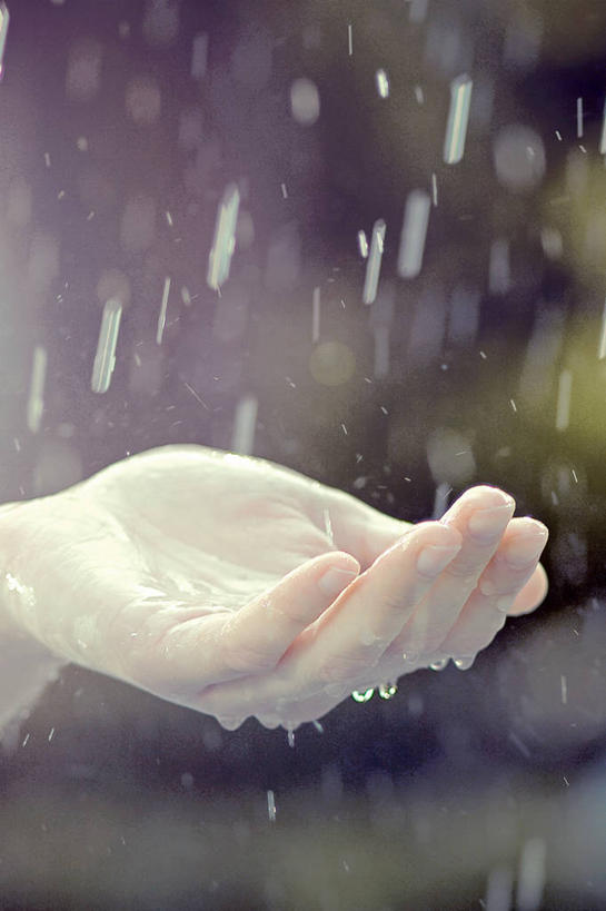 手掌,一个人,竖图,室外,特写,白天,雨,瑞士,湿,天气,自然,雨滴,人体,摄影,部分,接,年轻人,彩图