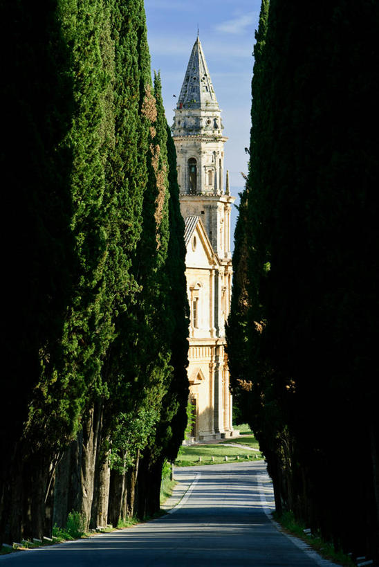 无人,教堂,竖图,室外,白天,意大利,阴影,云,天空,摄影,宗教,宁静,基督教,意大利文化,蒙达普西安诺,彩图,林荫大道