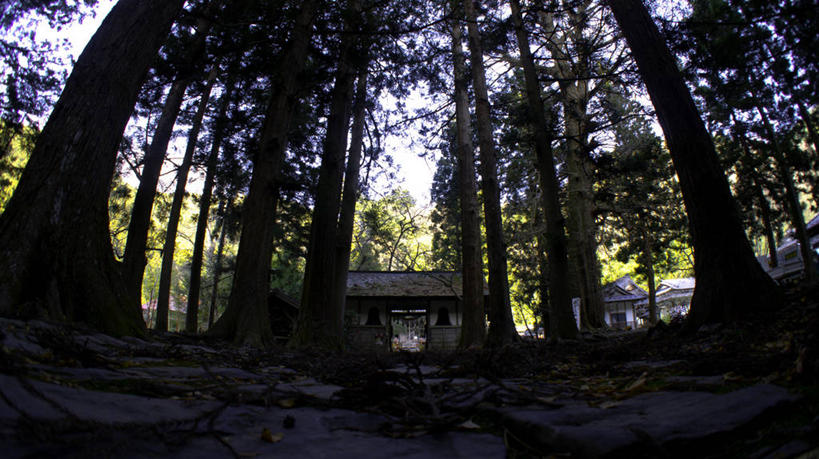 无人,横图,室外,白天,建筑,仙台,日本,房屋,树,自然,摄影,宁静,彩图