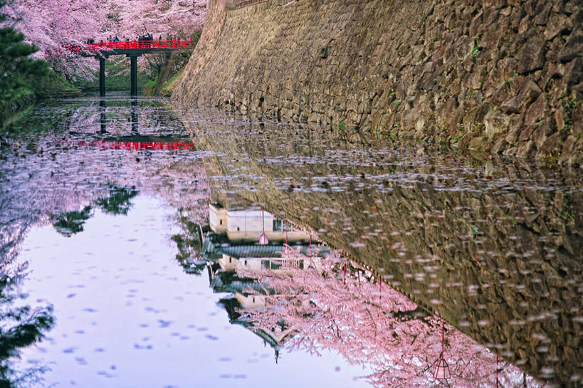 横图,室外,白天,美景,水,建筑,日本,亚洲,日本文化,反射,景观,桥,联系,风景,自然,春天,景色,摄影,宁静,自然风光,东亚,本州,护城河,本州岛,日本国,青森,青森县,东北地方,弘前,弘前市,弘前城,鹰冈城,彩图