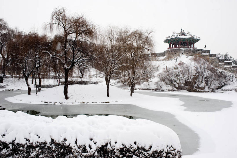 无人,横图,室外,白天,雪,韩国,池塘,冬天,树,天空,自然,寒冷,摄影,宁静,京畿道,水原,彩图