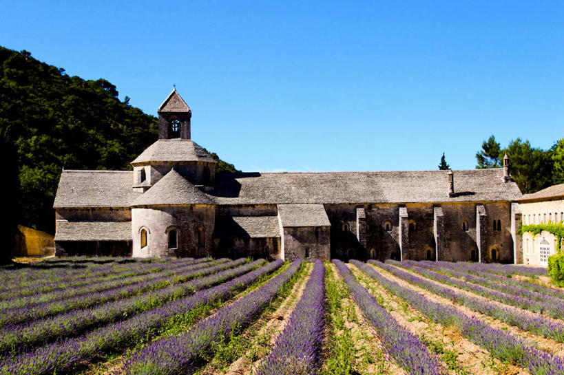 无人,横图,室外,白天,爱情,美景,建筑,法国,一排,整齐,屋顶,景观,田地,浪漫,排列,自然,香草,薰衣草,景色,摄影,基督教,普罗旺斯,队列,自然风光,呼吸,法国文化,万里无云,灵香草,黄香草,奇迹,修院,塞南克修道院,彩图